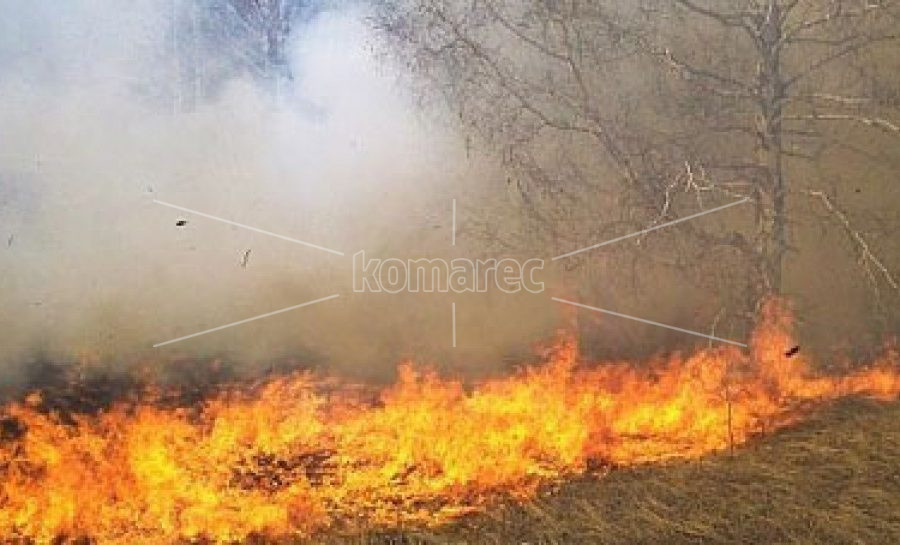 СООПШТЕНИЕ  ЗА  ЈАВНОСТА  ОД  ПОЛИЦИСКА  СТАНИЦА  ЗА  ОПШТА  НАДЛЕЖНОСТ  –  КОЧАНИ