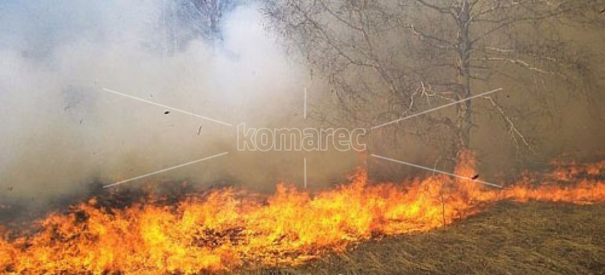 СООПШТЕНИЕ  ЗА  ЈАВНОСТА  ОД  ПОЛИЦИСКА  СТАНИЦА  ЗА  ОПШТА  НАДЛЕЖНОСТ  –  КОЧАНИ