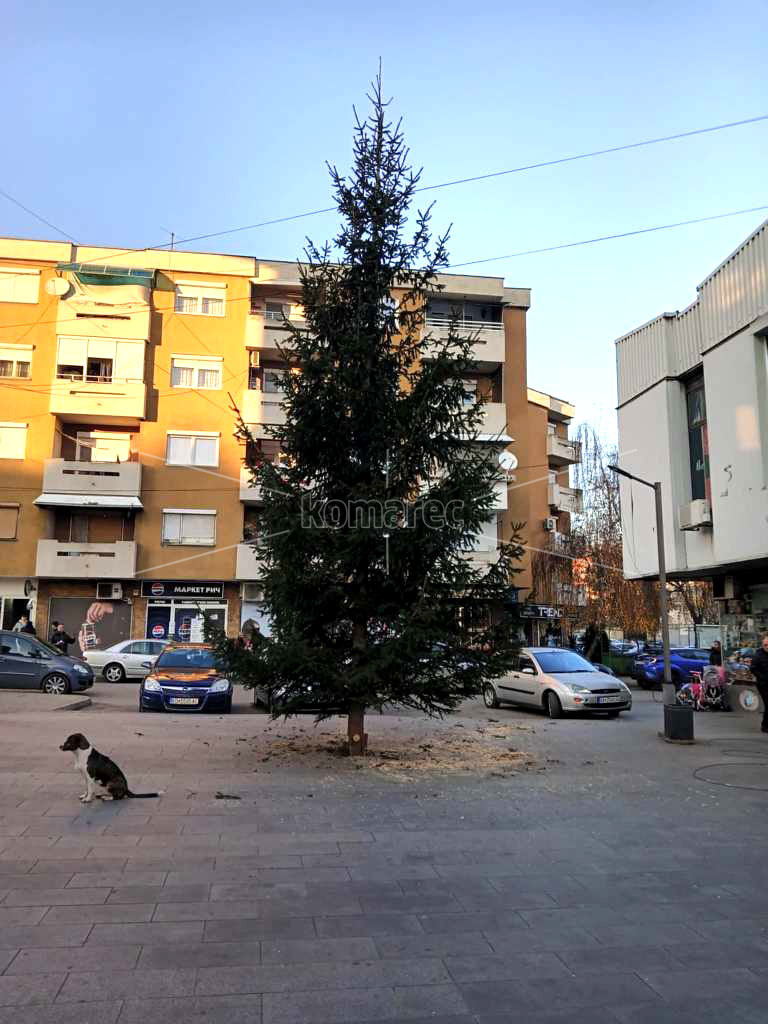 СРЕДЕ  ТРГОВСКИ  ВИСОКО,  ЕЛКАТА  НИ  СТОИ