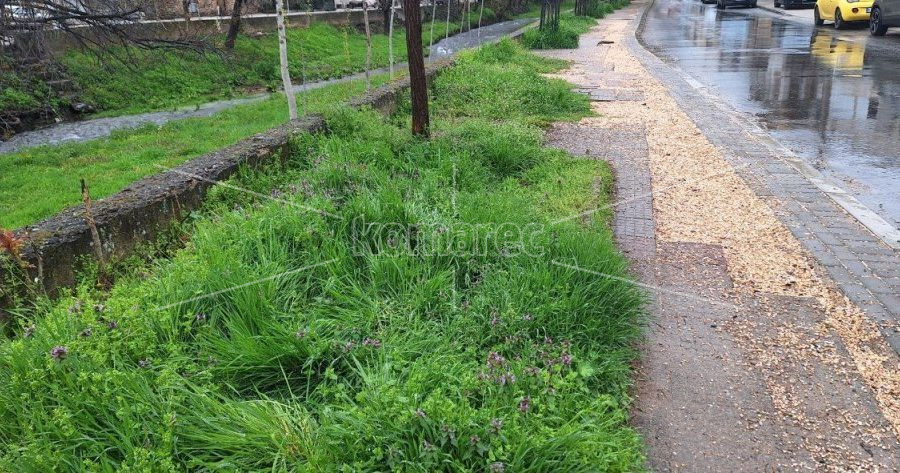 ГРАЃАНИТЕ  ПОРАЧУВААТ,  ОЧЕКУВАМЕ  БРЗА  РЕАКЦИЈА  НА  КЈП  „ВОДОВОД“