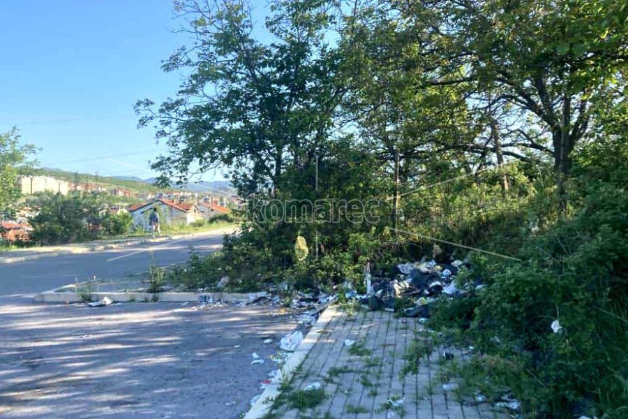ГО НЕМА ТОА КОМУНАЛНО ПРЕТПРИЈАТИЕ ШТО ЌЕ ЈА ИСЧИСТИ ПРОСТОТАТА НА ПОЕДИНЦИ