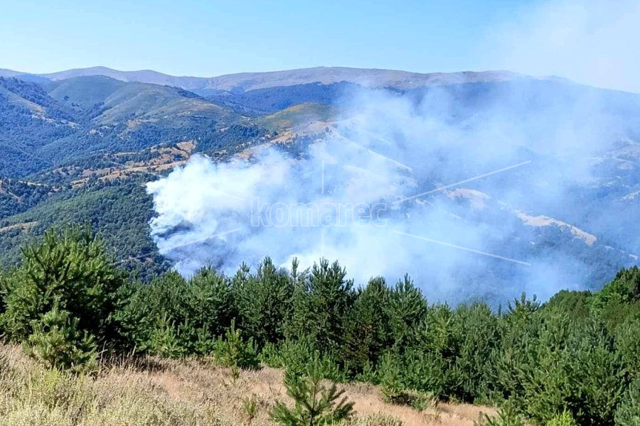 ОД 01 ЈУЛИ СЕ ВОВЕДУВА ЦЕЛОСНА ЗАБРАНА ЗА ДВИЖЕЊЕ ВО ШУМИТЕ