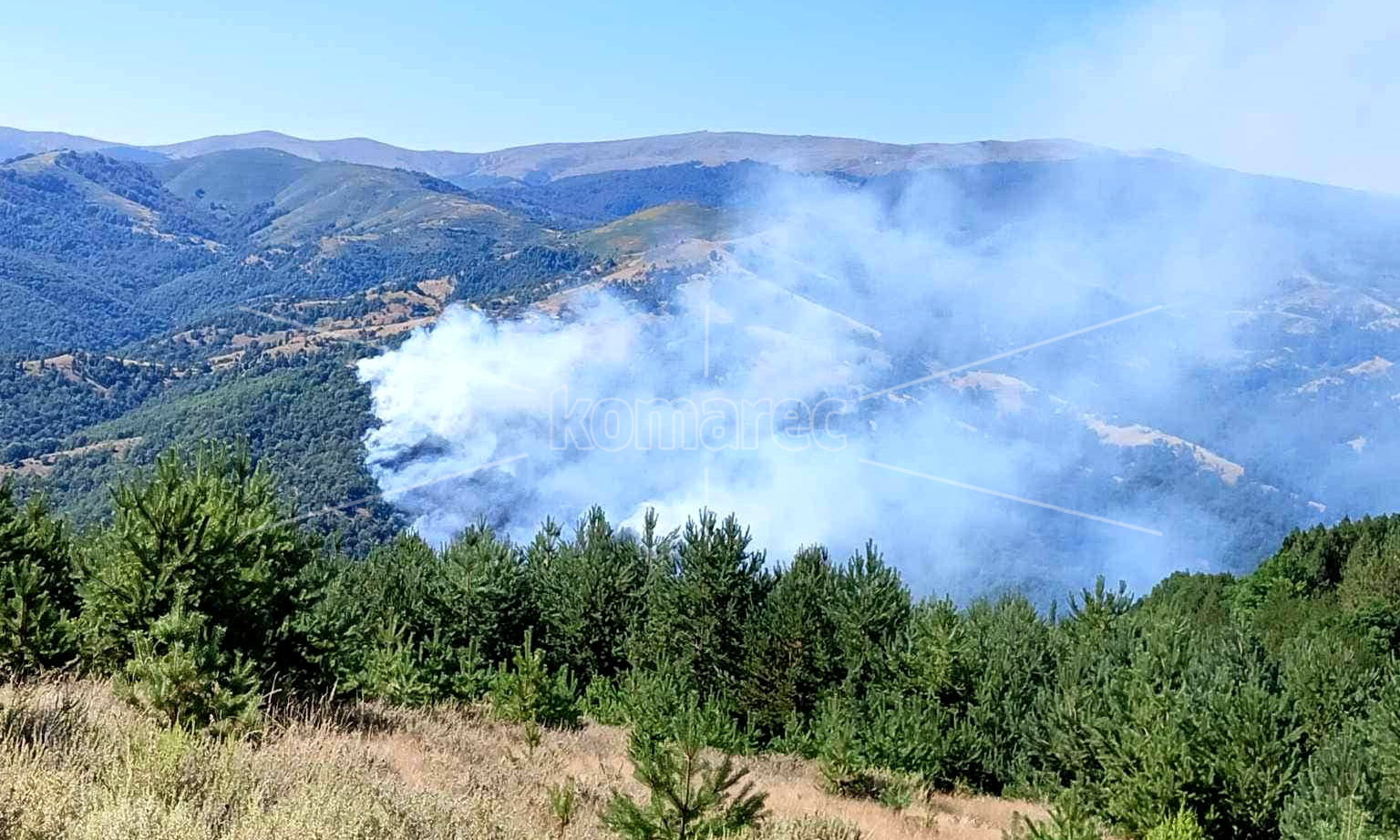 ОД  01  ЈУЛИ  СЕ  ВОВЕДУВА  ЦЕЛОСНА  ЗАБРАНА  ЗА  ДВИЖЕЊЕ  ВО  ШУМИТЕ