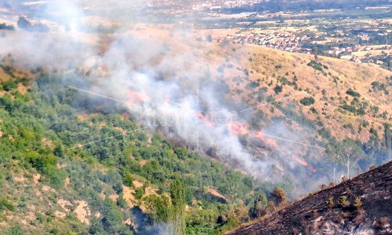 ПОЖАРИ,  ПОЖАРИ,  ПОЖАРИ,  ГО  ЗАФАТИЈА  КОЧАНИ