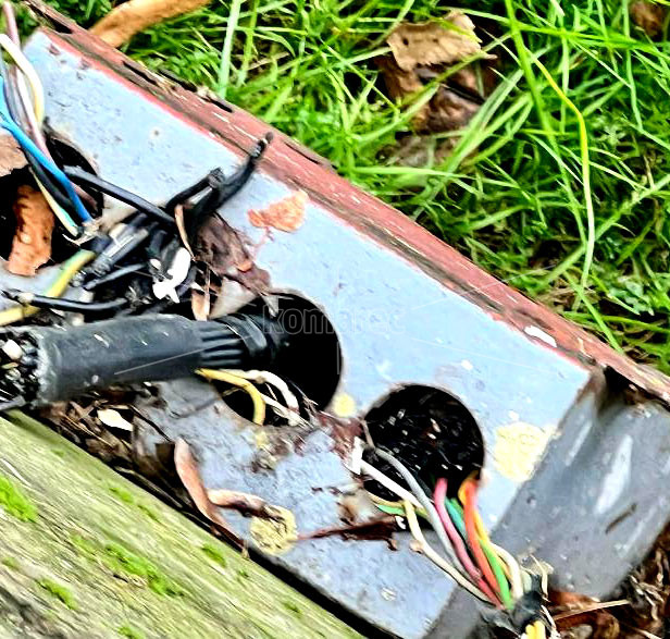 КАБЛИТЕ  ДО  КАНДЕЛАБРИТЕ  ПРЕСЕЧНИ,  ОЧИГЛЕДНО  НЕКОЈ  СОБИРА  БАКАР