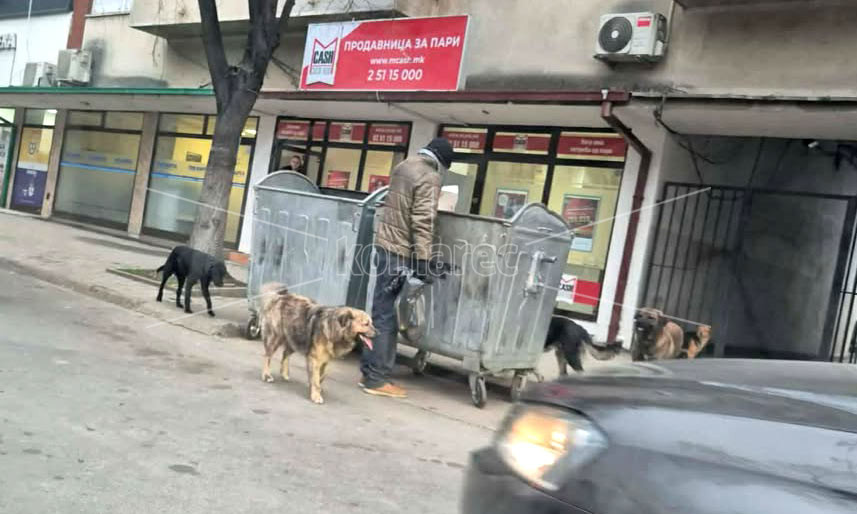 ГРУПА  ГРАЃАНИ  ОД  УЛИЦАТА  „КЕЈ  НА  РЕВОЛУЦИЈАТА“  БРОЈ  5  –  КОЧАНИ:  ПРИЈАВУВА  АГРЕСИВНА  ГЛУДНИЦА  НА  КУЧИЊА