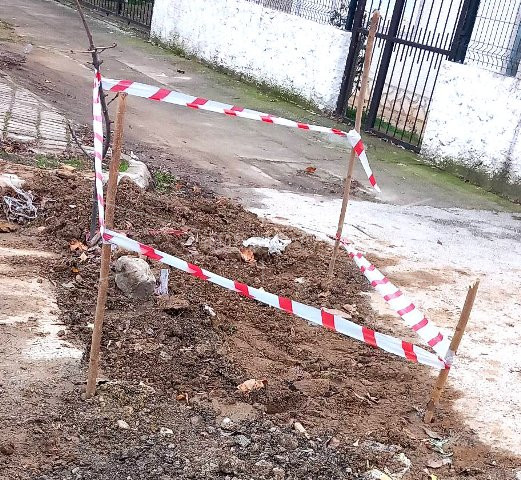 ГРАЃАНИТЕ  ПРАШУВААТ,  ГРАЃАНИТЕ  РЕАГИРААТ