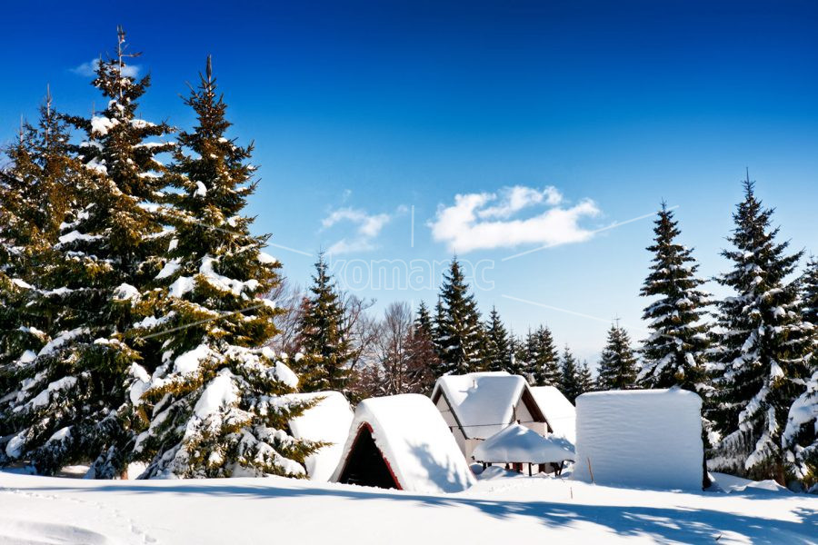 СРЕЌНА  НОВА  2026  ГОДИНА