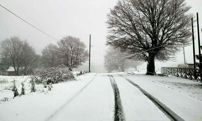 НОВ  СНЕГ  НА  ПОНИКВА