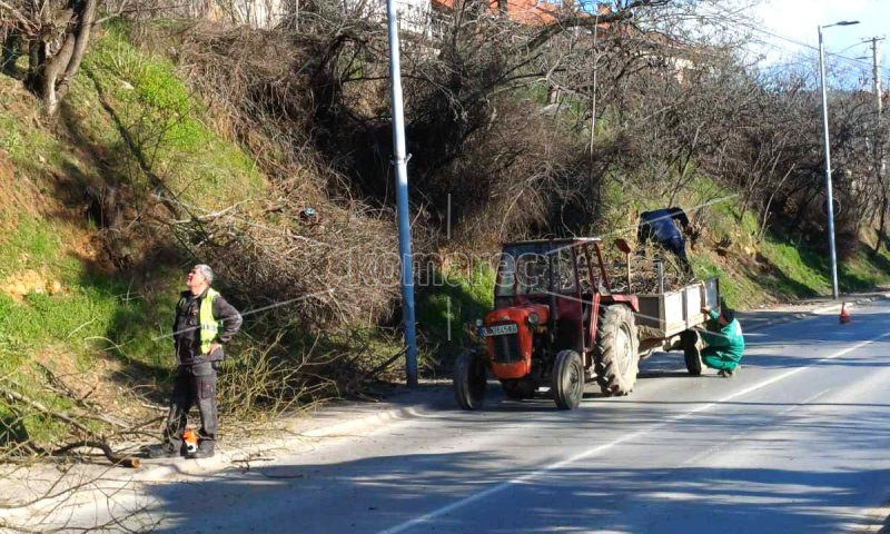 УРЕДУВАЊЕ  НА  ВЕГЕТАЦИЈАТА  ОКОЛУ  СТОЛБОВИТЕ  ЗА  ЈАВНО  ОСВЕТЛУВАЊЕ  НА  ВЛЕЗОТ  ВО  КОЧАНИ