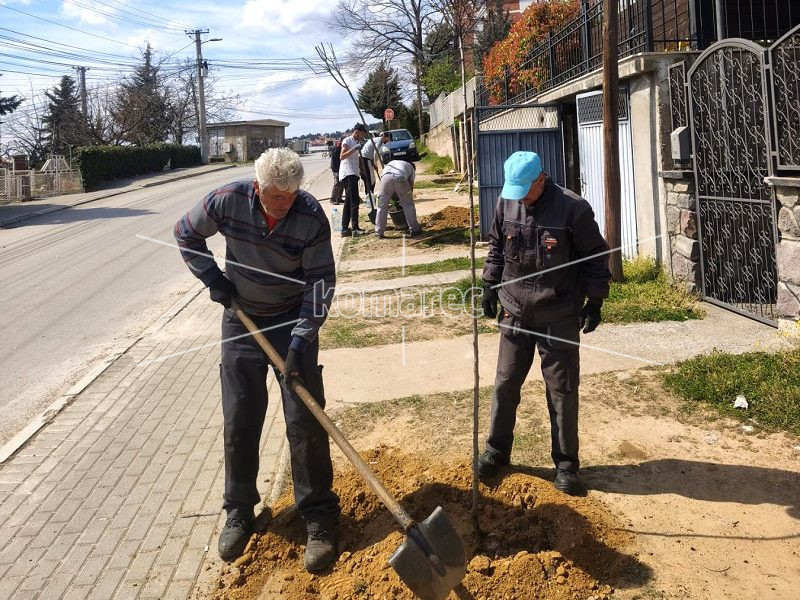 НОВИ  САДНИЦИ  НА  ПОВЕЌЕ  ЛОКАЦИИ  ВО  ГРАДОТ