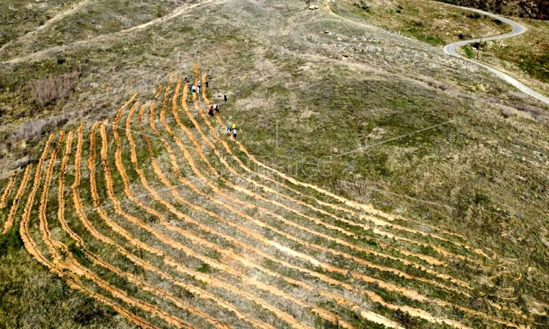 ВО  ЧЕСТ  И  СПОМЕН  НА  ТРАГИЧНО  ПОЧИНАТИТЕ  СВОИТЕ  ЧЛЕНОВИ,  КПС  „ОСОГОВОСКИ  ОРЕЛ“  –  КОЧАНИ  ЗАСАДИ  300  БАГРЕМИ