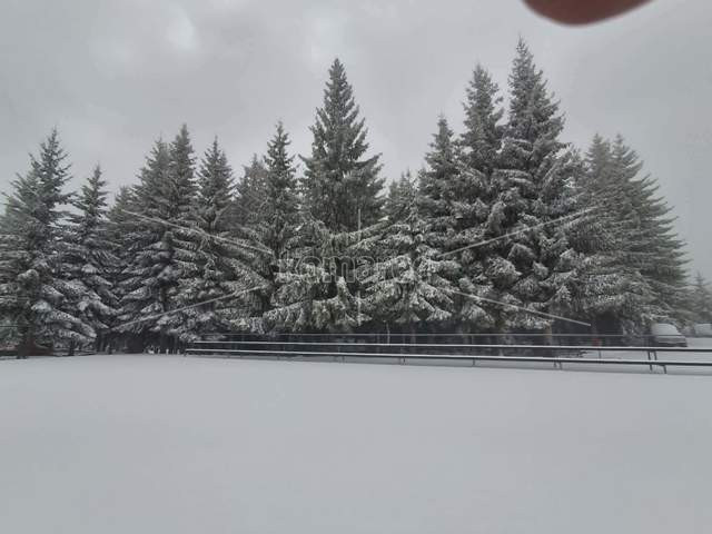 МОМЕНТАЛНАТА  СЛИКА  НА  ПОНИКВА,  СНЕГ  КОЛКУ  ТИ  ДУША  САКА