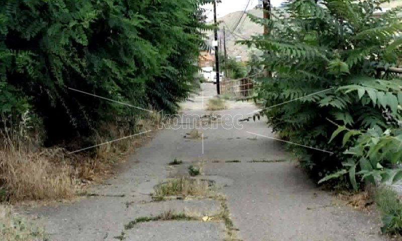 УЛИЦА  ВО  ЦЕНТАРОТ  НА  ГРАДОТ   ИЛИ  ПАТЕКА  ОД  ДИВИНАТА