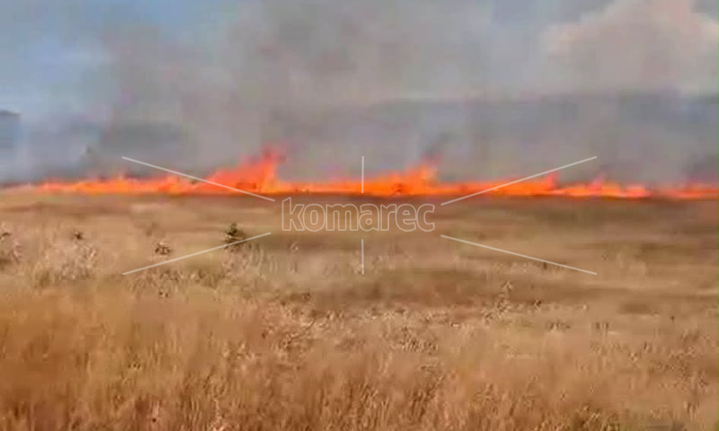 ТППЕ  –  КОЧАНИ  И  ДПД  –  КОЧАНИ ГО ГАСНАТ ПОЖАРОТ ВО ПОБИШТИПСКО
